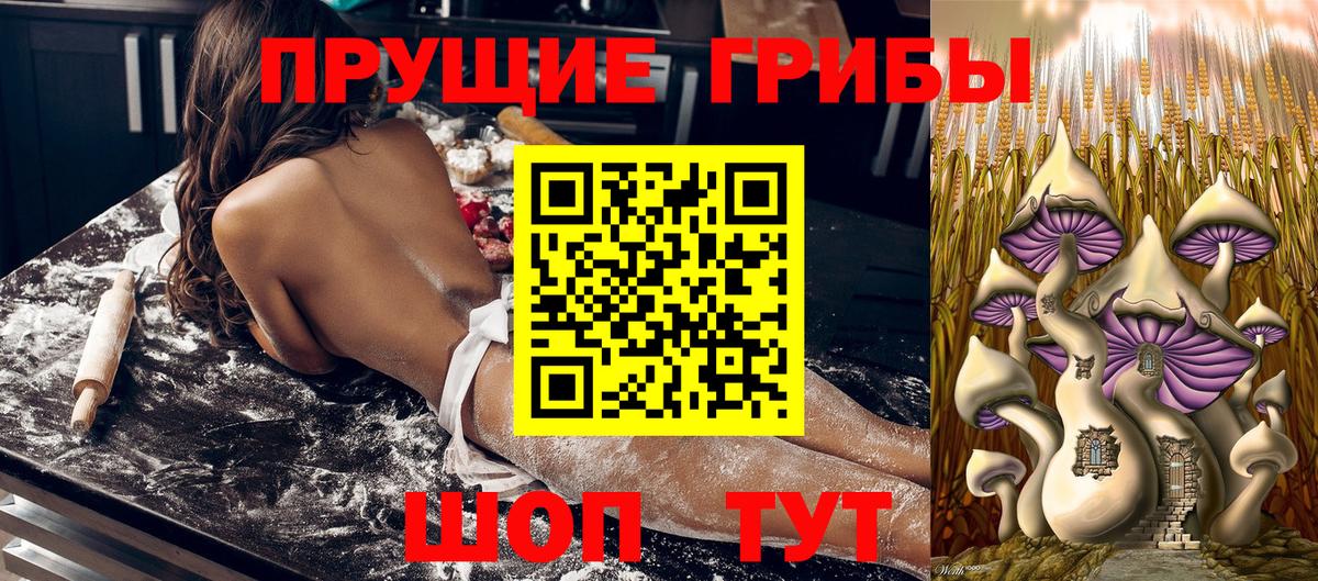 Красноармейск  Псилоцибиновые грибы MAGIC MUSHROOMS  Галлюциногенные грибы мухоморы  Вход с VPN 
