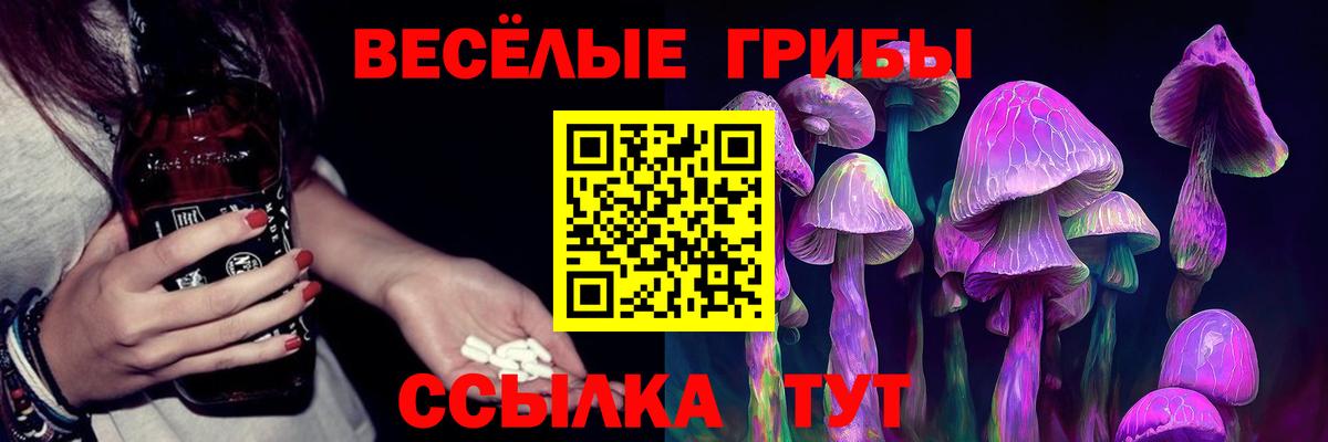Псилоцибиновые грибы Psilocybine cubensis Красноармейск